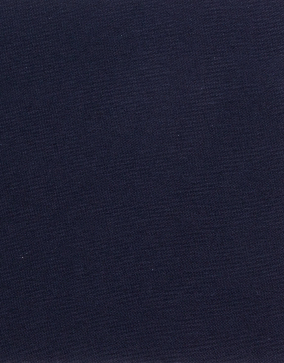 Rembrandt - Aro Water-Resistant Parka - Navy