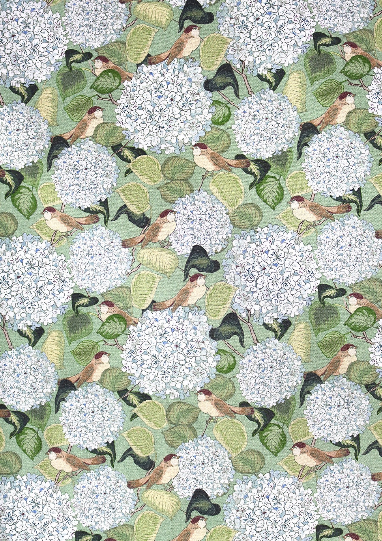 R.F. Scott - Fields Short Sleeved Shirt - Pear Tree