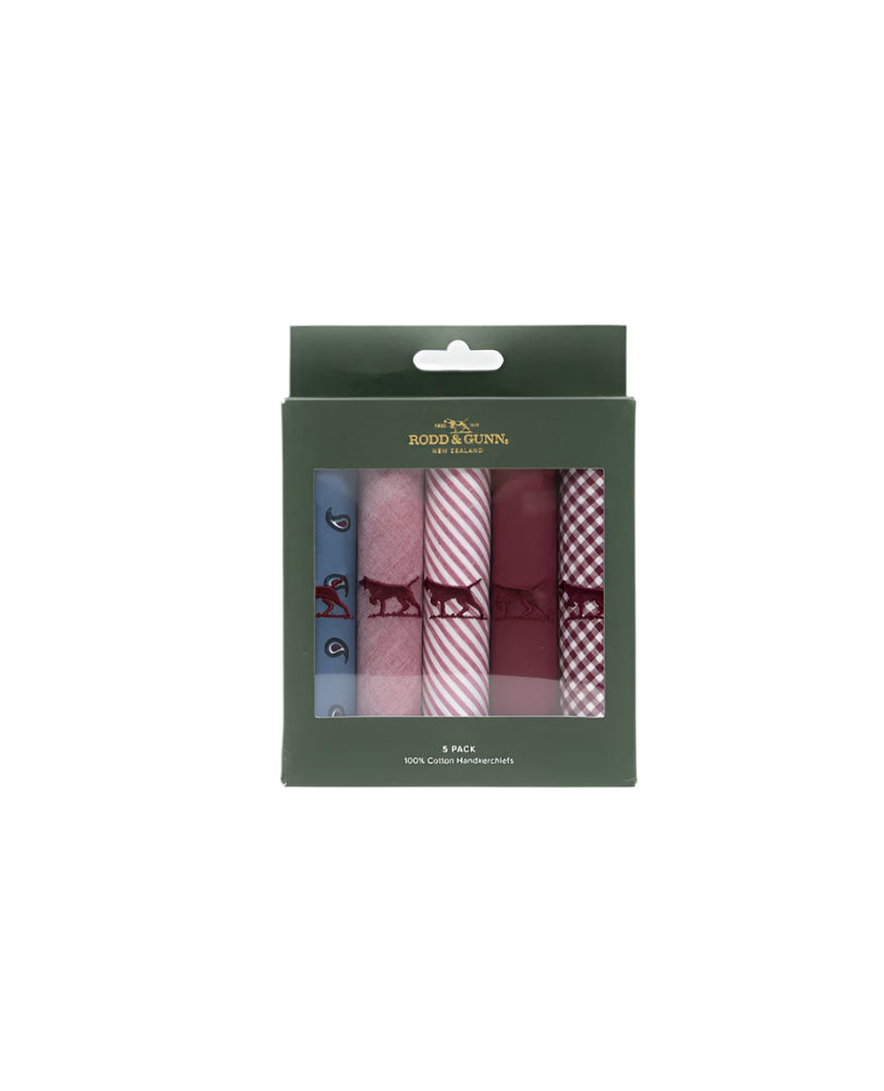 Pack of 5 patterned handkerchiefs in a branded box on a white background