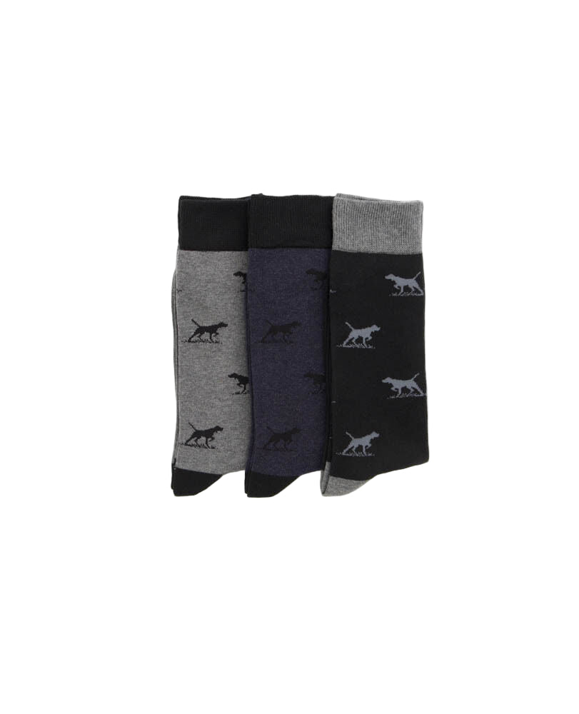 Rodd & Gunn - Dogs-A-Plenty Three Pack Socks