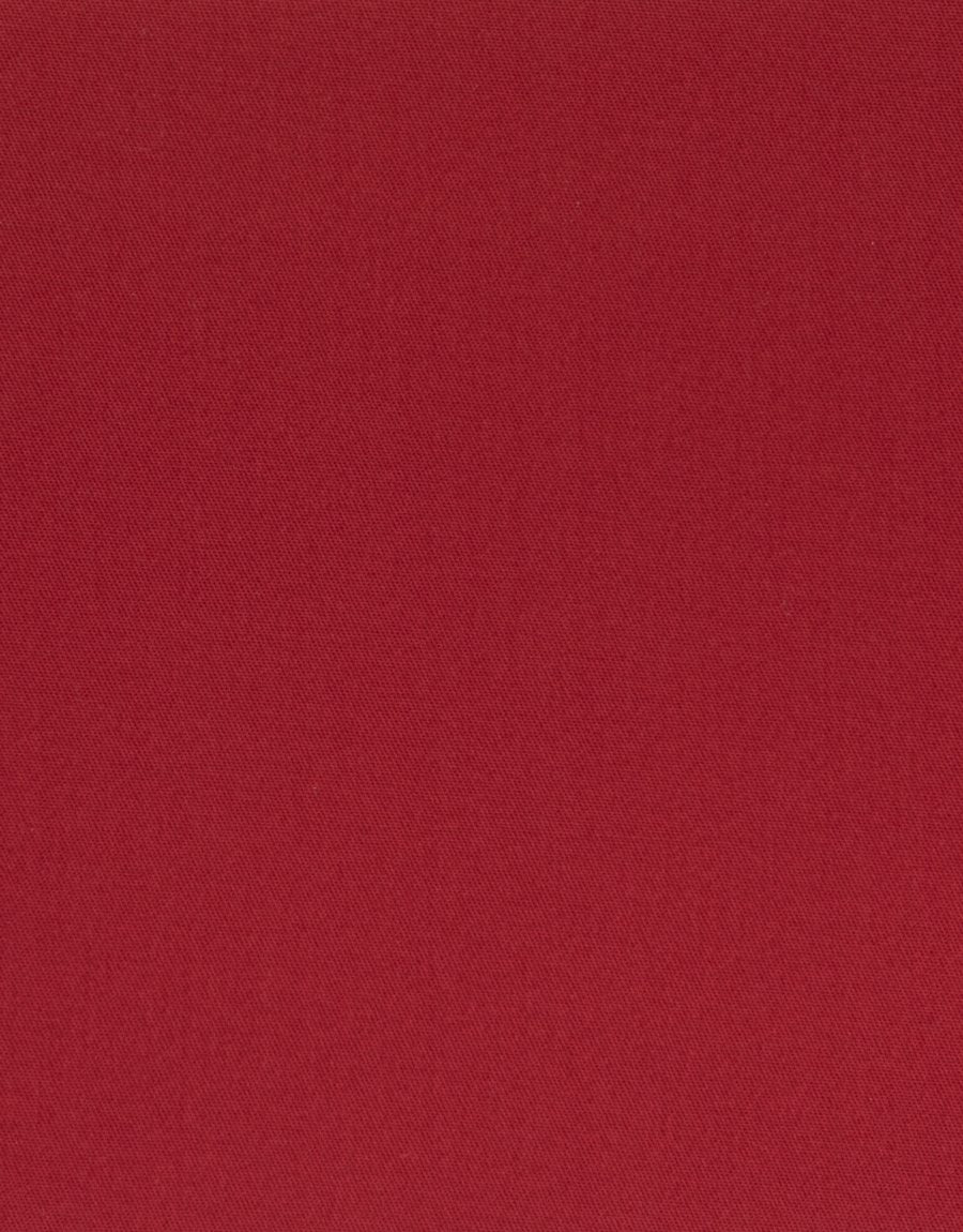 Rembrandt - Sumner Short - Red