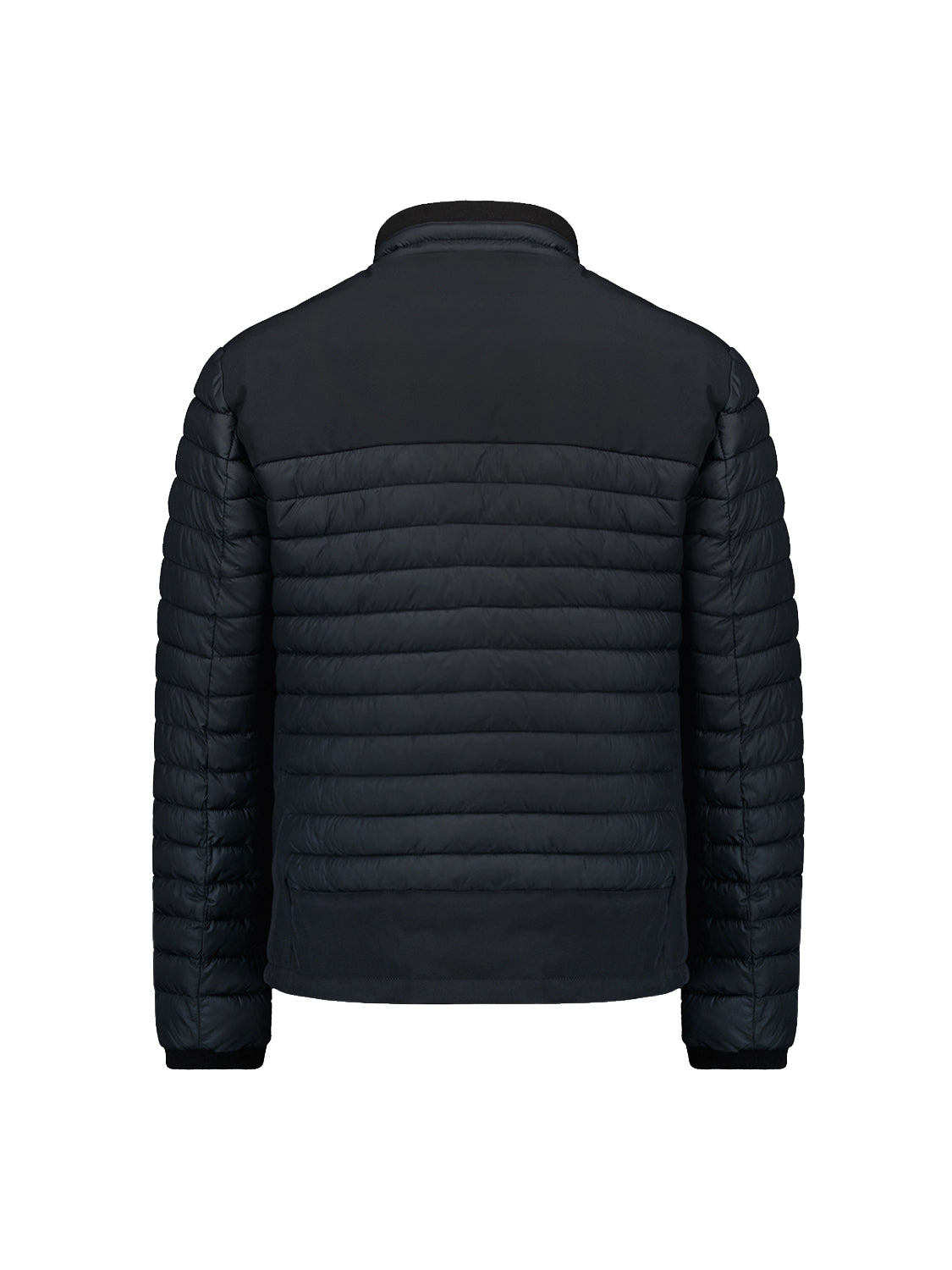 No Excess - Short Fit Padded Jacket - Three Colours