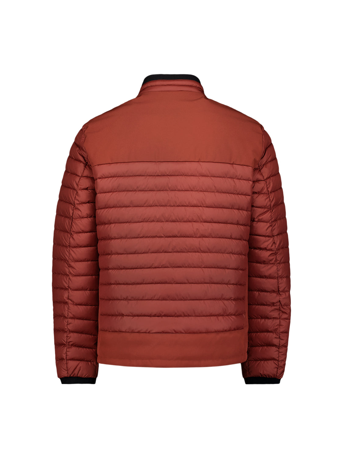 No Excess - Short Fit Padded Jacket - Three Colours