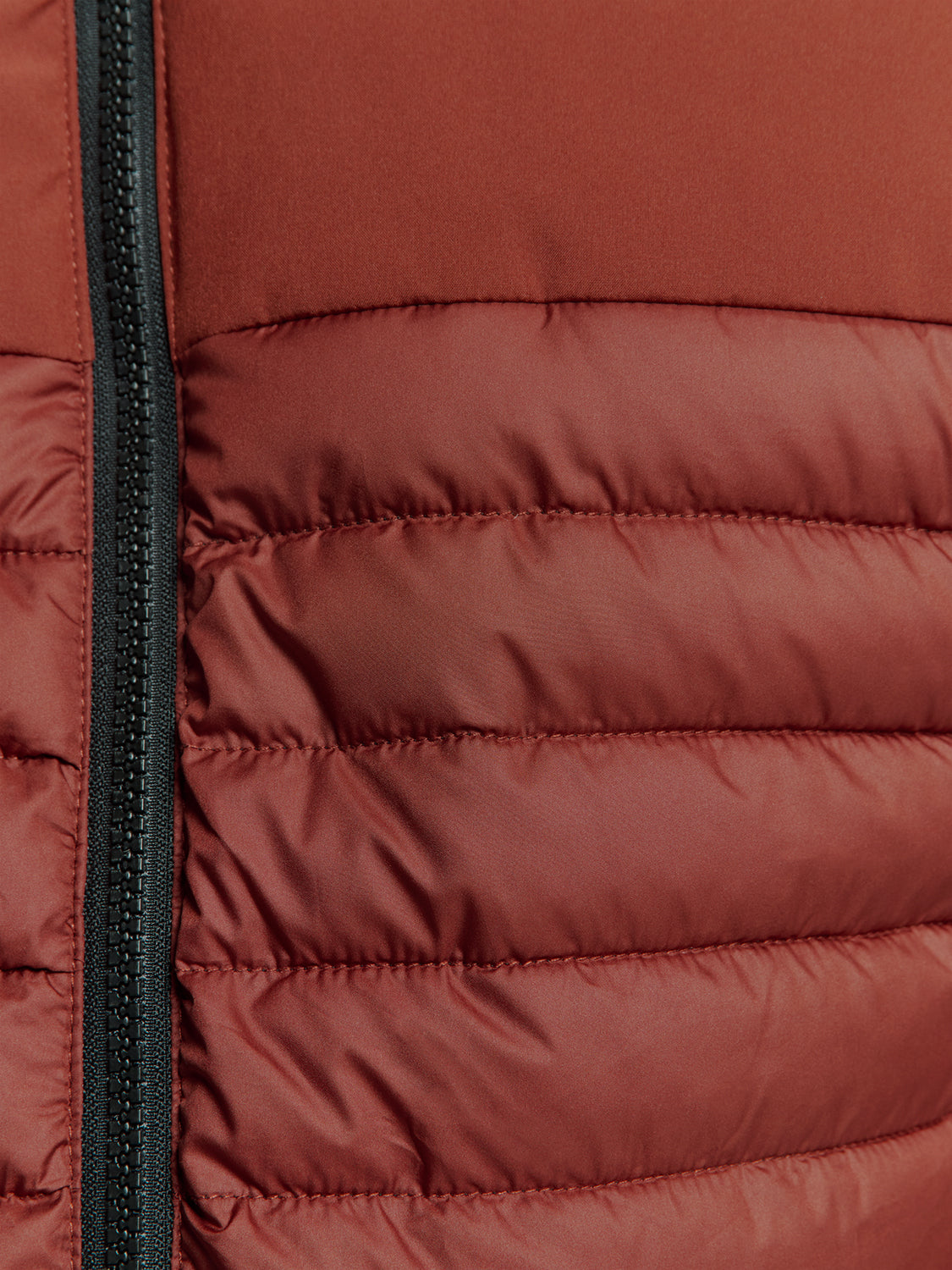 No Excess - Short Fit Padded Jacket - Three Colours