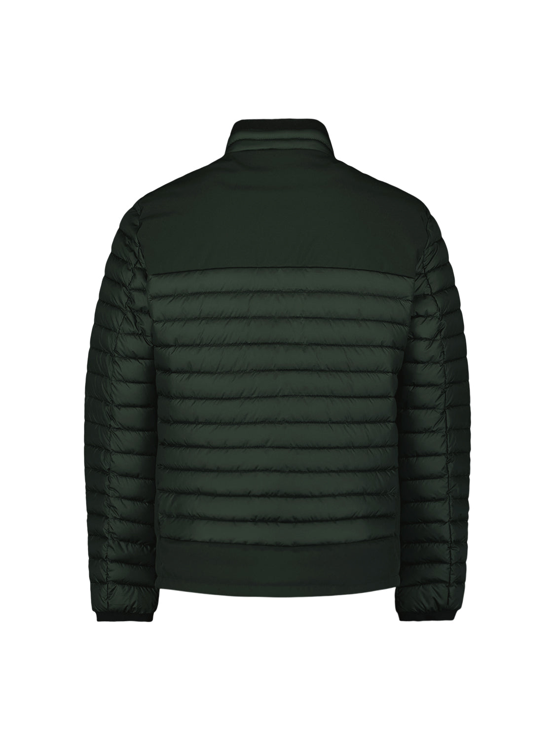 No Excess - Short Fit Padded Jacket - Three Colours
