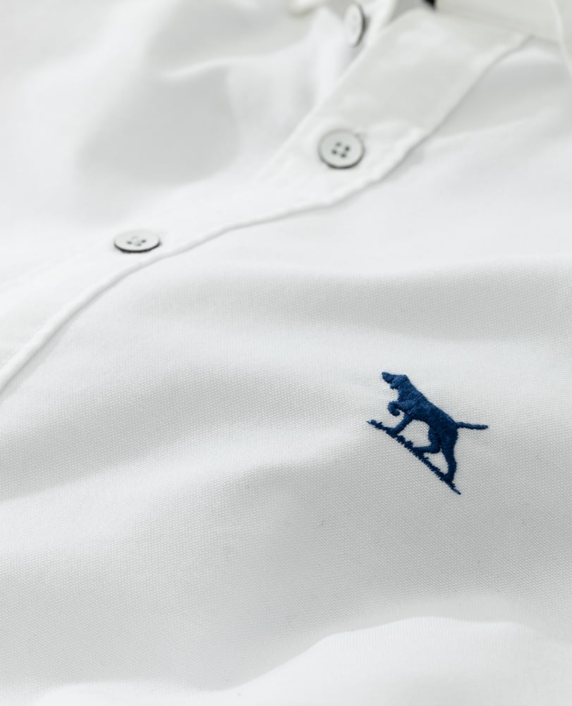 Rodd & Gunn - Oxford Sports Fit Shirt - Multiple Colours