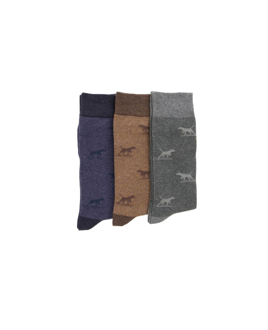 Rodd & Gunn - Dogs-A-Plenty Three Pack Socks