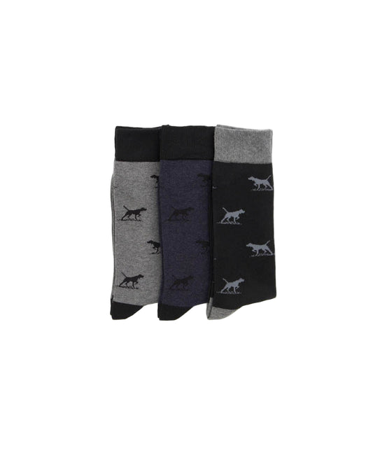 Rodd & Gunn - Dogs-A-Plenty Three Pack Socks