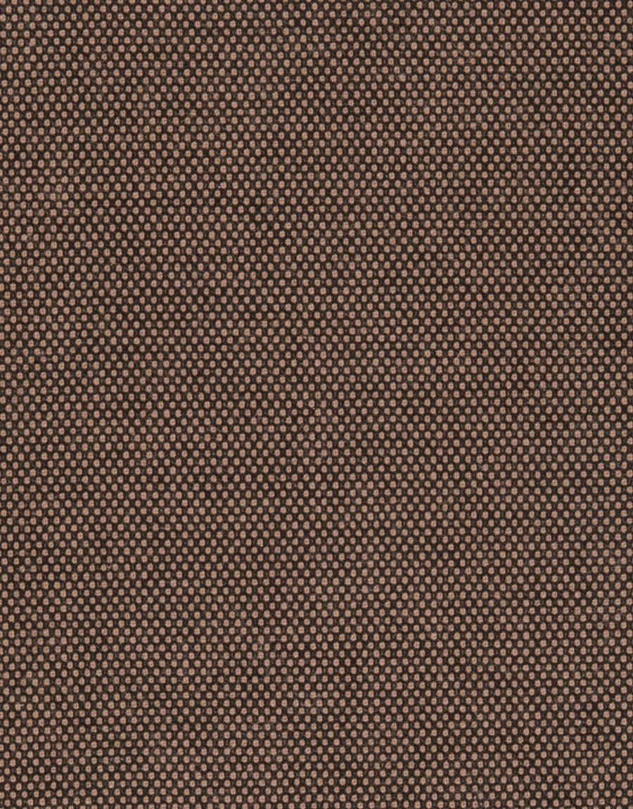 Rembrandt - Tyler Chino - Brown Birdseye